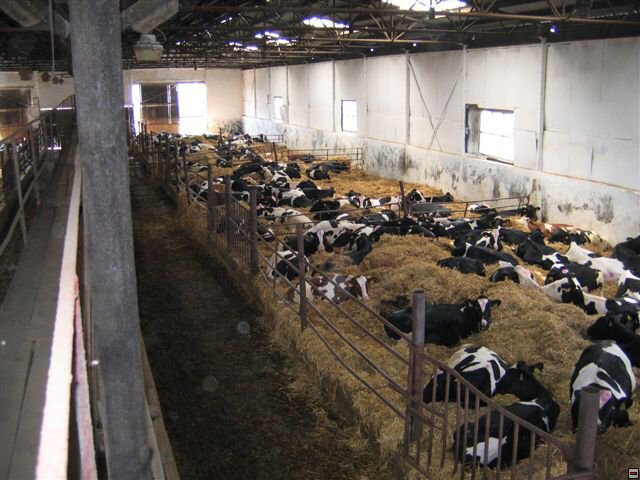 Troubelice 2006 019.jpg